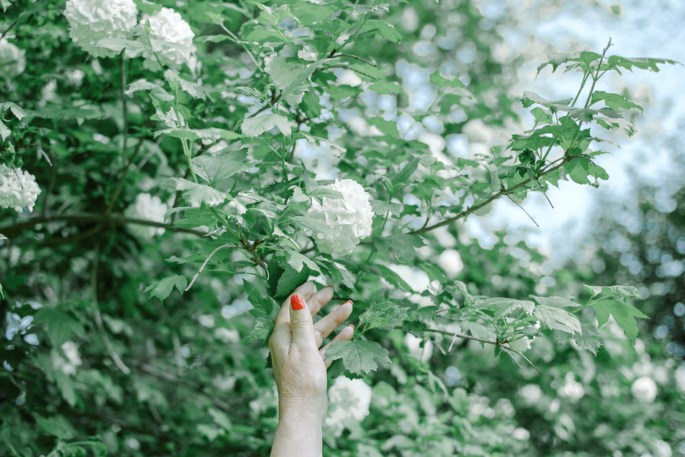 26643792504_a3a21eb81f_o