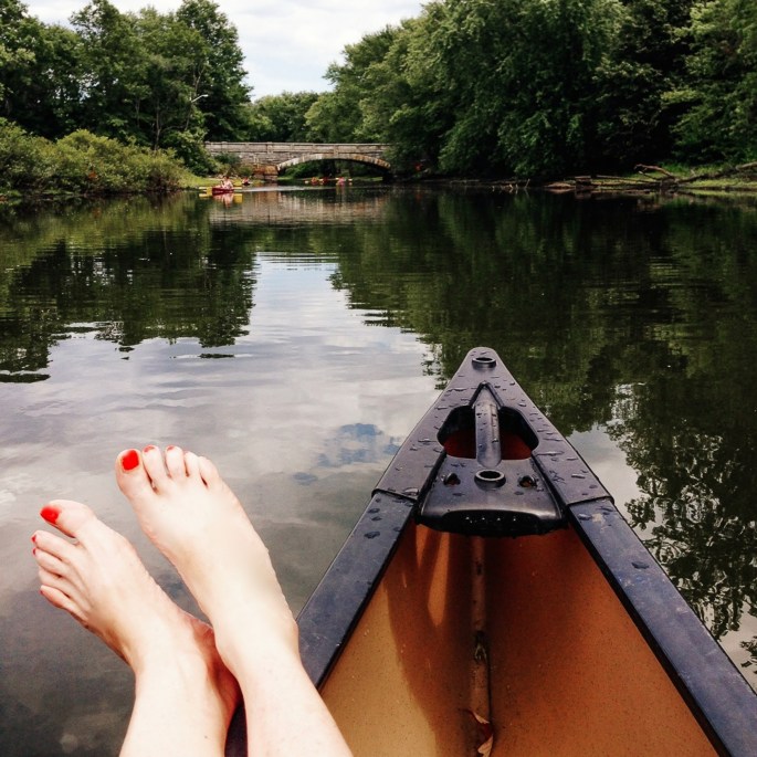 28234583373_194606cccf_o