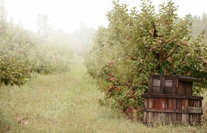 29739776601_6fefd2ff49_o