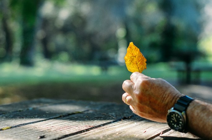 29850576162_a4d9899911_o