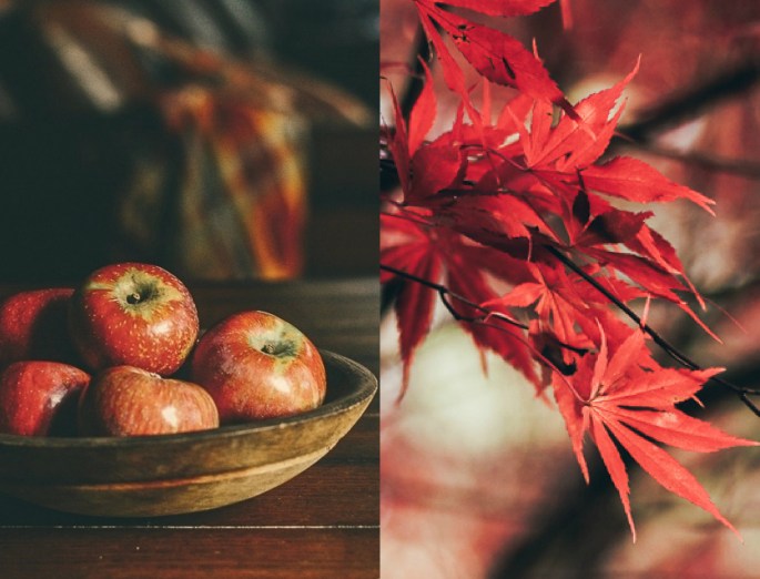 29718548934_a5dd079b13_o