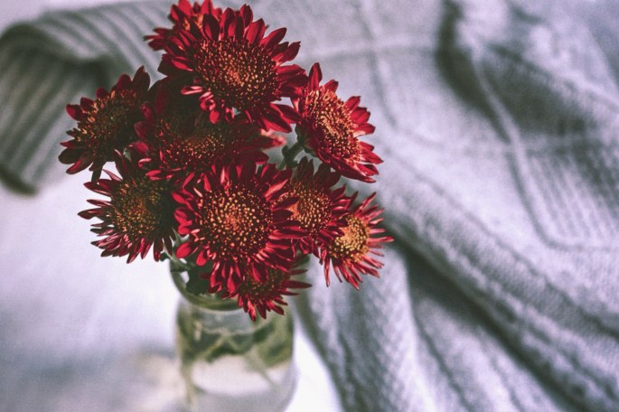 29808590940_6ee09310d4_o