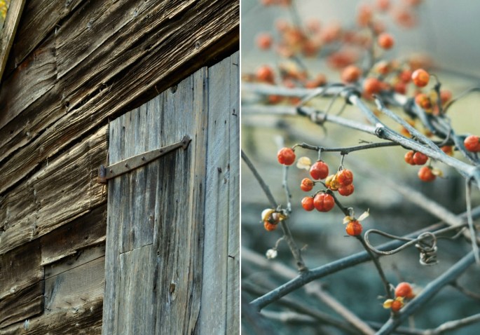 29728446214_a2831f0d6d_o