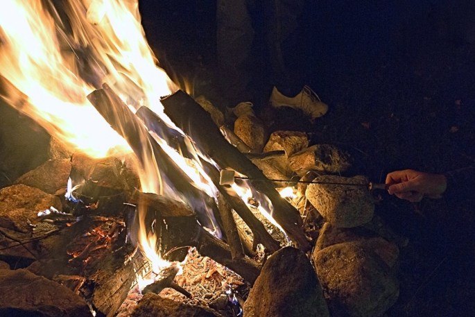 30210762106_4236a31370_o