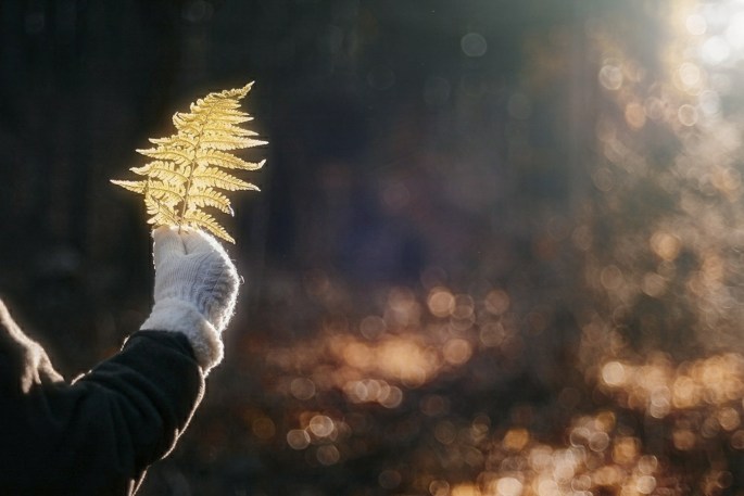 30606123153_123efc30b5_o