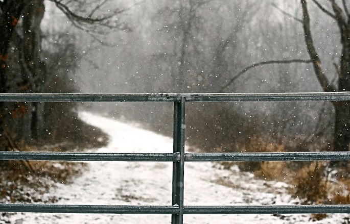 31598280115_b29fe3a938_o