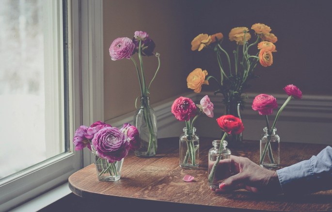 33362464645_4d33f8c537_o