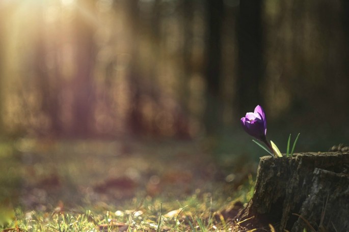 33885193051_e1ddd31541_o