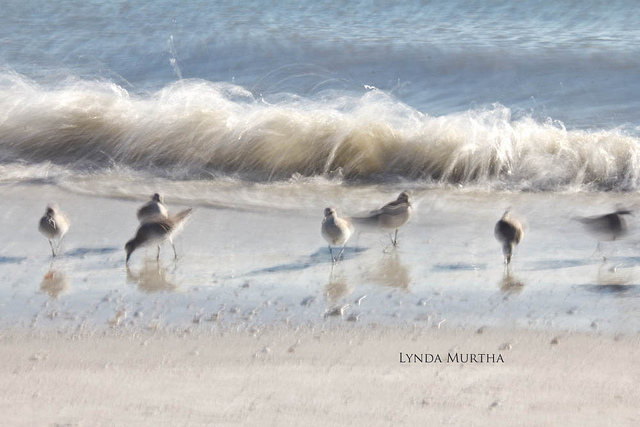 8207593539_166224d504_z