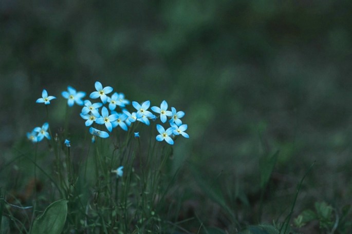 34253402526_77e5be5a76_o-2