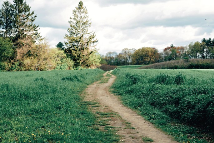 34759373432_a4c66e3832_o