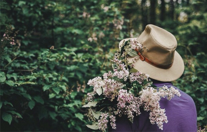 34101929234_fbc39751a3_o