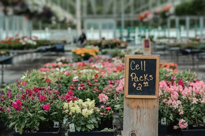 34848254401_ed2ac4c257_o