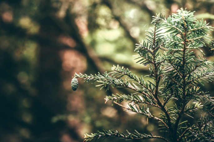 35169452094_e1d83f974e_o