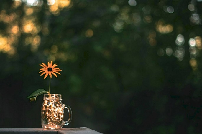 36134071952_7b11d877b7_o