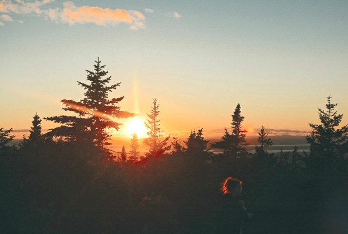 36522098403_20b5b70450_o