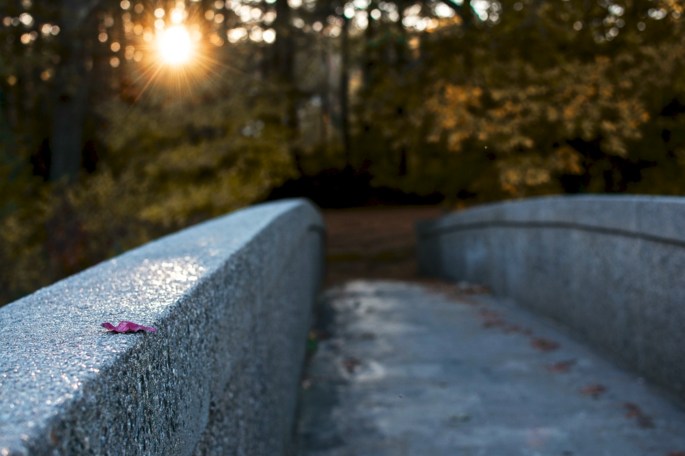 37725151046_1b2e9e3969_o