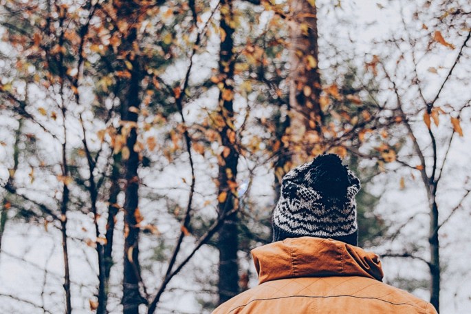 38468475186_9711f6ca00_o