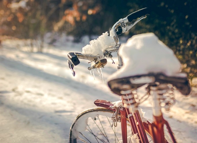 38848152074_e6ed92f658_o-2