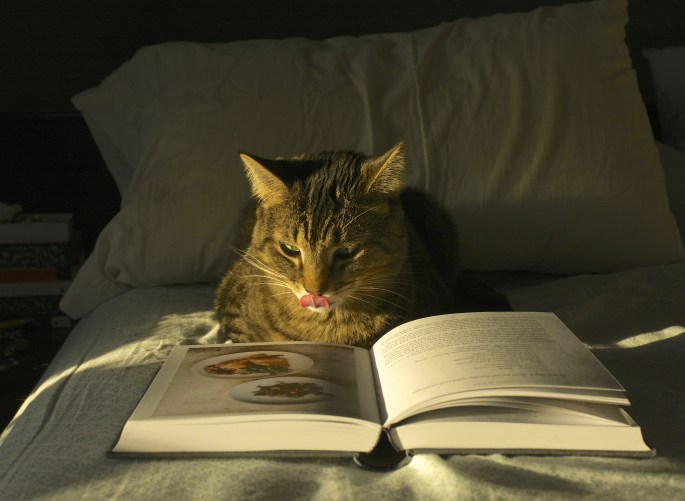 39881335351_6e5237b99b_o