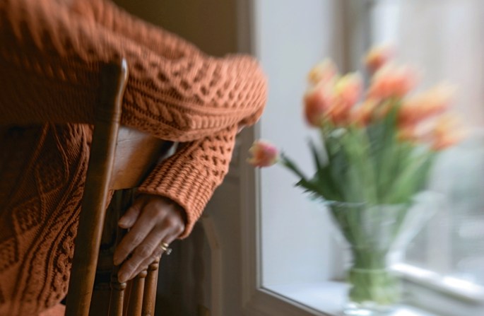 25155569997_d1d5a49135_o