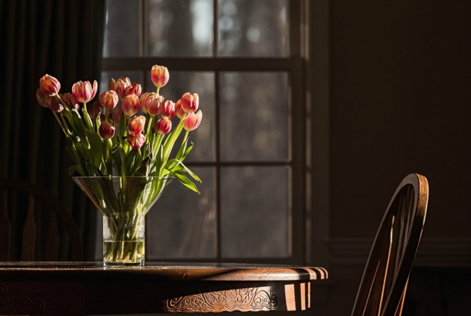 25233463427_8a5a7c300f_o