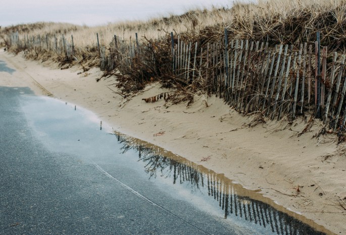 40281455281_1c067769b2_o