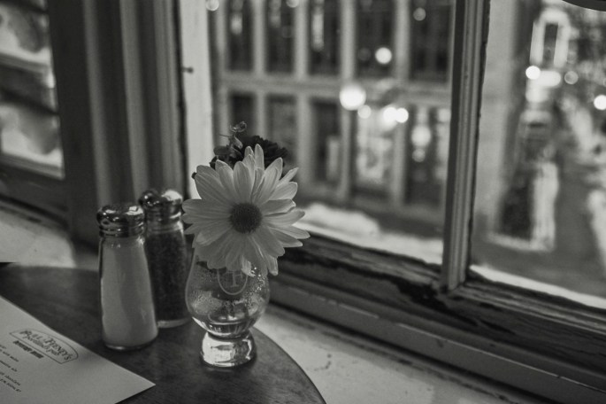 40727180912_d2228a7ab0_o