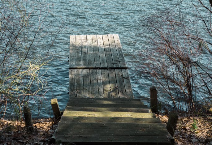 41146470061_20cd9e125f_o